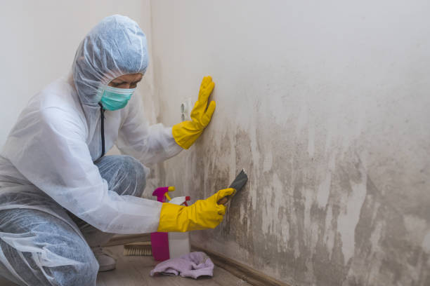 Best Airborne Mold Testing  in Morocco, IN