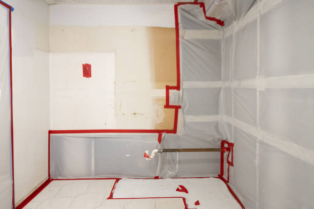 Best Basement Mold Removal  in Morocco, IN