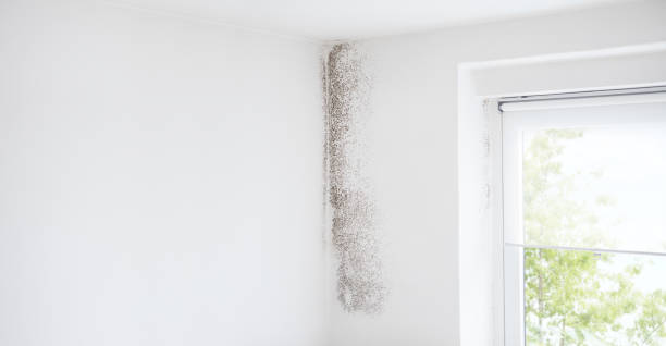 Best Indoor Air Quality Assessment  in Morocco, IN