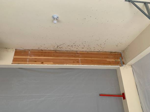 Asbestos and Lead Testing During Mold Inspection in Morocco, IN